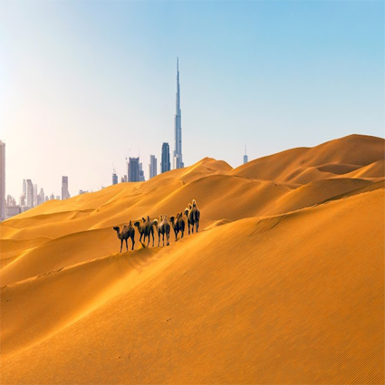 TOUR DUBAI - ABU DHABI 4N4Đ 
